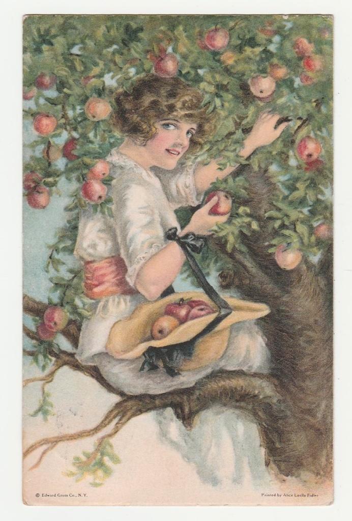 Dame plukt appels.  Illustrateurs., Verzamelen, Ansichtkaarten | Themakaarten, Gelopen, Voor 1920, Overige thema's, Verzenden