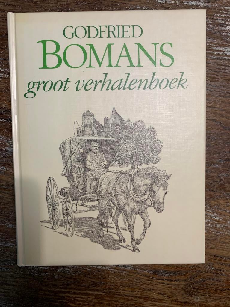 Godfried Bomans groot verhalenboek, Boeken, Ophalen of Verzenden, Gelezen