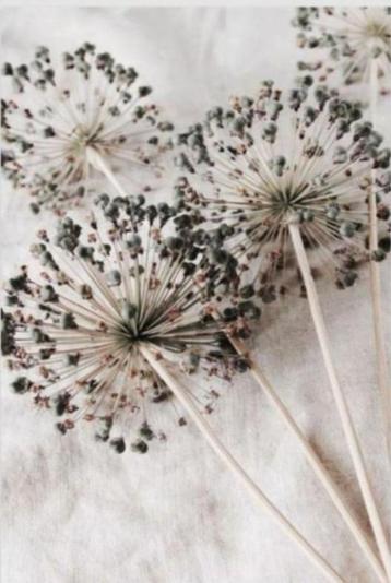 Fours Wisseldoek voor Art Frame 135x150 cm beschikbaar voor biedingen