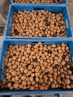 Verse Walnoten 34kg, Ophalen