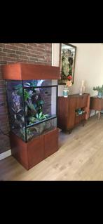 Terrarium, Dieren en Toebehoren, Reptielen en Amfibieën | Toebehoren, Ophalen, Gebruikt, Terrarium of Paludarium