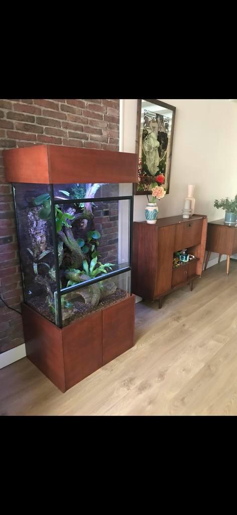 Terrarium, Dieren en Toebehoren, Reptielen en Amfibieën | Toebehoren, Gebruikt, Terrarium of Paludarium, Ophalen