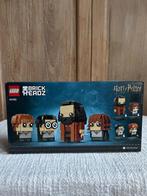 NIEUW Lego Harry Potter Brickheadz 40495, Kinderen en Baby's, Speelgoed | Duplo en Lego, Ophalen of Verzenden, Zo goed als nieuw
