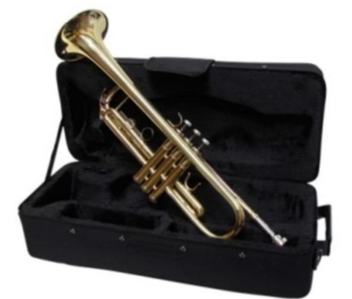 Trompetten uit de Showroom nu voor actieprijs +Koffer Gratis, Muziek en Instrumenten, Blaasinstrumenten | Trompetten, Nieuw, Bes-trompet