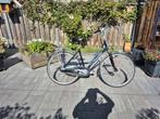 Gazelle Davos, Ophalen, Gebruikt, Versnellingen, 50 tot 53 cm