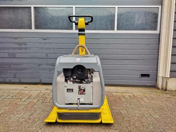 Wacker trilplaat te koop DPU 6555 ( bj 2018) beschikbaar voor biedingen