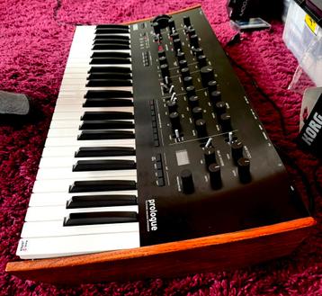 Korg Prologue 8 voice 49 keys analoge synthesizer beschikbaar voor biedingen