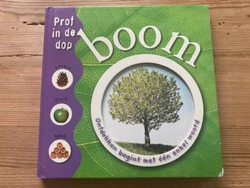 Prof in de dop: Boom beschikbaar voor biedingen