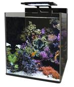 Blue marine reef 60 zeeaquarium, Dieren en Toebehoren, Ophalen, Gevuld zeewateraquarium