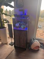 Blue Marine 90 zeeaquarium, nano aquarium, Dieren en Toebehoren, Ophalen, Zo goed als nieuw, Leeg aquarium