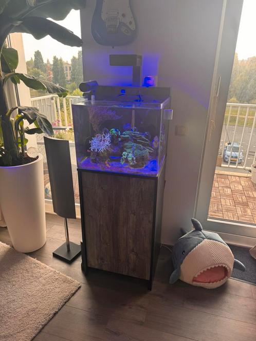 Blue Marine 90 zeeaquarium, nano aquarium, Dieren en Toebehoren, Vissen | Aquaria en Toebehoren, Zo goed als nieuw, Leeg aquarium