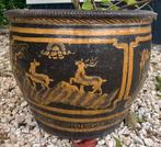 Mooie Mizubachi buiten pot, Ophalen, Gebruikt, 40 cm of meer, Rond