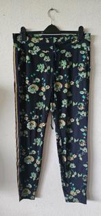 bloemprint travelstof broek van Studio anneloes maat xl, Kleding | Dames, Grote Maten, Ophalen of Verzenden, Zo goed als nieuw