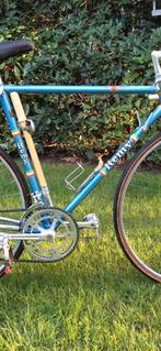 Remy Gevraagd!!!, Ophalen of Verzenden, Remy