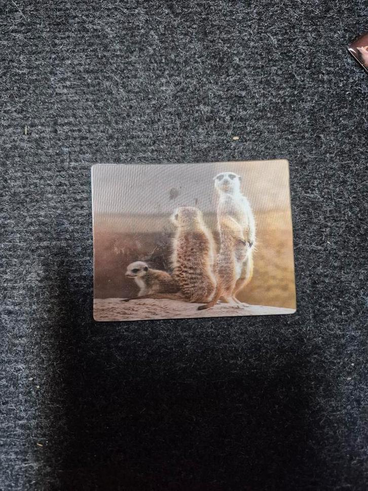3d stokstaartje magneet, Verzamelen, Dierenverzamelingen, Zo goed als nieuw, Beeldje of Figuurtje, Ophalen of Verzenden