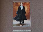 Filmposter Harry Potter A2 44x62 cm  Rafaëlla, Rechthoekig Staand, Ophalen of Verzenden, Zo goed als nieuw, A1 t/m A3