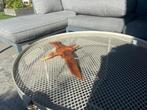 Jurassic world pteranodon, Ophalen, Zo goed als nieuw