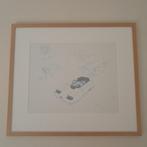 Panamarenko Provacar, Antiek en Kunst, Kunst | Litho's en Zeefdrukken, Verzenden