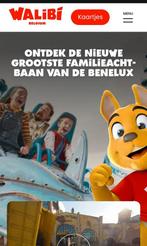 1 Ticket Walibi Belgie, Tickets en Kaartjes, Eén persoon