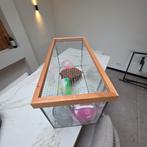 Hamsterkooi inclusief accessoires, Dieren en Toebehoren, Knaagdieren en Konijnen | Hokken en Kooien, Ophalen