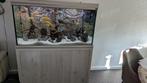 Tekoop, Dieren en Toebehoren, Ophalen of Verzenden, Zo goed als nieuw, Gevuld zoetwateraquarium