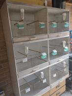 Gehu broedkooi, Ophalen, Gebruikt, Kunststof, Broedkooi of Kweekkooi