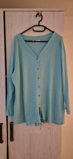 Mint Tuniek met Knoop - Maat 52, Kleding | Dames, Grote Maten, Blouse of Tuniek, Ophalen of Verzenden, Zo goed als nieuw, Bpc