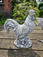 HAAN / 37 cm hoog / beton / OPRUIMING, Tuin en Terras, Tuinbeelden, Ophalen, Dierenbeeld, Nieuw, Peize