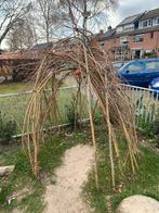 Gevraagd: wilgentakken (gratis), Tuin en Terras, Planten | Bomen, Ophalen, Volle zon, Overige soorten, Minder dan 100 cm