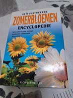 ENCYCLOPEDIEËN, Nieuw, Ophalen of Verzenden