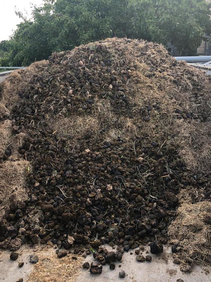 Paardenmest gratis voor compost - moestuin, Tuin en Terras, Aarde en Mest, Mest, Ophalen