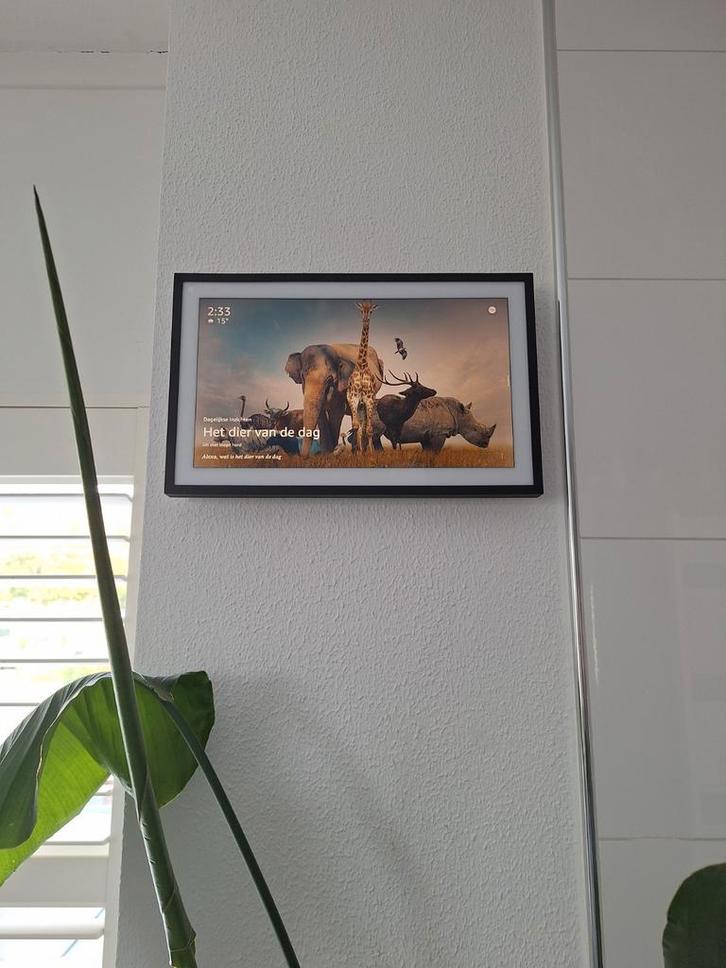 Amazon Echo show 15, Alexa, Fire tv, smart speaker, 15.6", Audio, Tv en Foto, Mediaspelers, Zo goed als nieuw, Ophalen