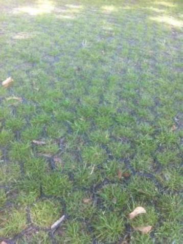 Grastegels grasdallen groen parkeren tegels platen beschikbaar voor biedingen