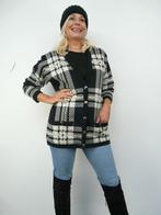 *Abfab Vintage Geruit Vest met Zakken M*, Ophalen of Verzenden, Zo goed als nieuw, Maat 38/40 (M), Zwart