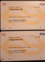 2 Dagkaarten Trein Treinkaartjes ALLE dagen v week ook Spits, Tickets en Kaartjes, Eén persoon, Trein, Nederland, Algemeen kaartje