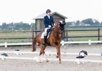 Dressuur instructie aangeboden !, Paardrijles of Ponykampen
