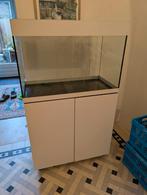Aquarium - full set ready to go, 175L 80x40x50, Dieren en Toebehoren, Vissen | Aquaria en Toebehoren, Ophalen, Filter of Co2