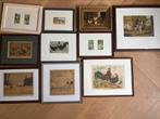 Hoenders, kippen, hanen etsen, prenten van diverse hoenders, Antiek en Kunst, Kunst | Etsen en Gravures, Ophalen of Verzenden