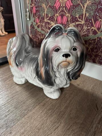 Shih Tzu hondenbeeld beschikbaar voor biedingen
