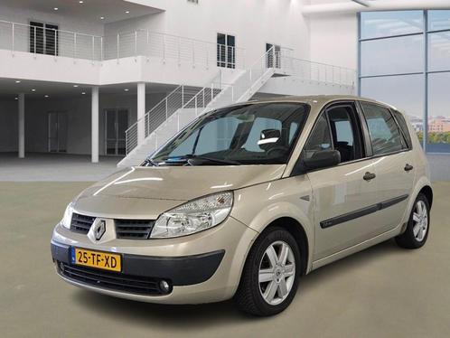 Renault Scénic 1.6-16V Business Line/TREKHAAK/VELGEN, Auto's, Renault, Bedrijf, Te koop, Scénic, ABS, Airbags, Airconditioning