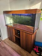 Juwel 240L te koop, Dieren en Toebehoren, Vissen | Aquaria en Toebehoren, Ophalen, Gebruikt, Leeg aquarium