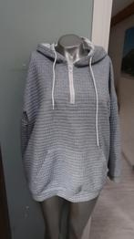 mooie hoodie grijs xxl, Ophalen of Verzenden, Zo goed als nieuw, Grijs, Trui of Vest