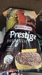 versele-lage kanariezaad, Dieren en Toebehoren, Meerdere dieren, Zangkanarie