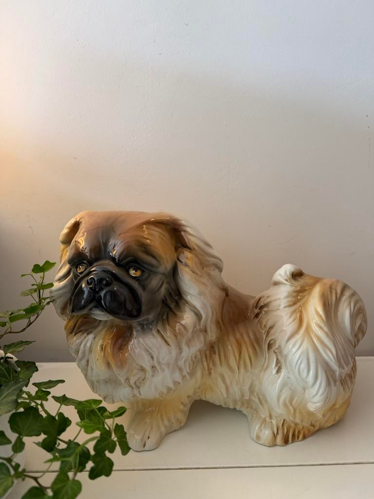 Groot beeld hond Pekinees, Ophalen of Verzenden