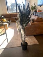 Yuka kunst plant, Huis en Inrichting, Woonaccessoires | Kunstplanten en Kunstbloemen, Ophalen, Nieuw