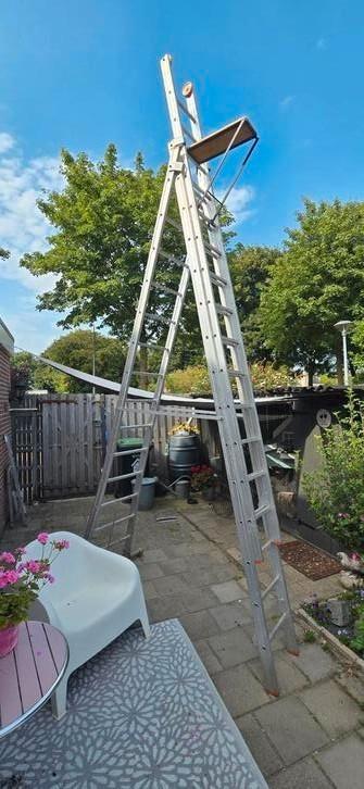 Wienese reform ladder 3x14  beschikbaar voor biedingen