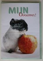 Cavia met appel, dubbele kaart met envelop, "mijn oogappel", Verzamelen, Ansichtkaarten | Dieren, Ophalen of Verzenden, 1980 tot heden