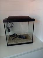 Aquarium 25 liter, Dieren en Toebehoren, Ophalen, Zo goed als nieuw, Leeg aquarium