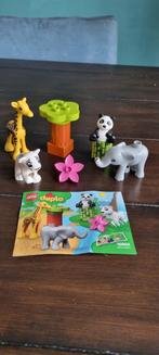 Duplo 10904 babydieren panda olifant giraffe tijger, Ophalen of Verzenden, Zo goed als nieuw, Duplo
