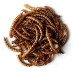5kg meelwormen voor de buitenvogels etc, Dieren en Toebehoren, Dierenvoeding, Ophalen of Verzenden, Vogel